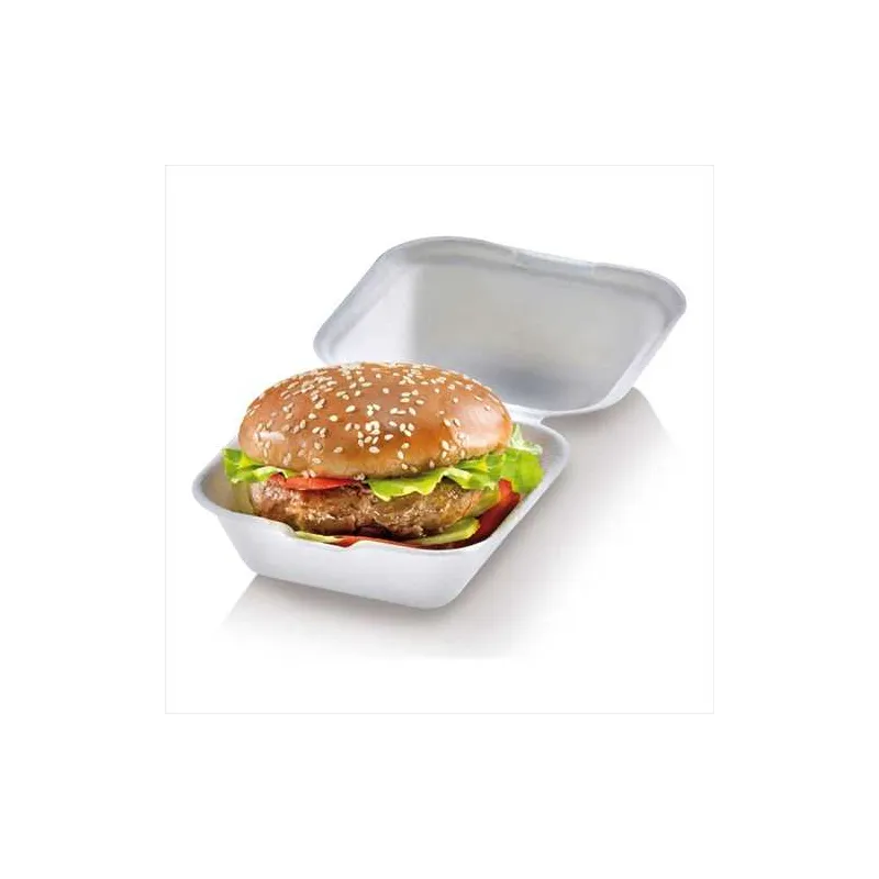 BOITE BURGER BIO 