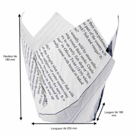 cône en papier ingraissable impression "JOURNAL"