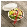 SALADIERS BUDHA BOWL + COUVERCLES