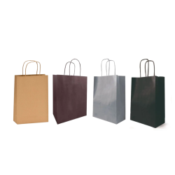 SACS PAPIER POIGNEES TORSADEES COULEURS CLAYRTON'S - 14