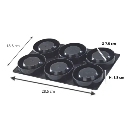 6 moules ronds pour tartelettes sur plaque avec Papa France