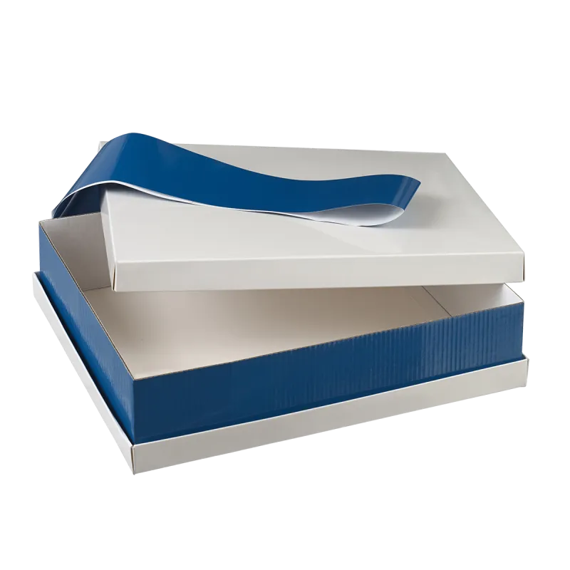 Plateau repas pratique et économique, plateau reverso bandeau bleu