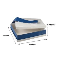 Plateau repas pratique et économique, plateau reverso bandeau bleu