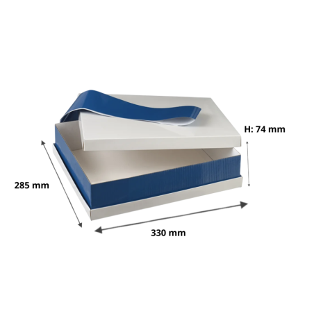 Plateau repas pratique et économique, plateau reverso bandeau bleu